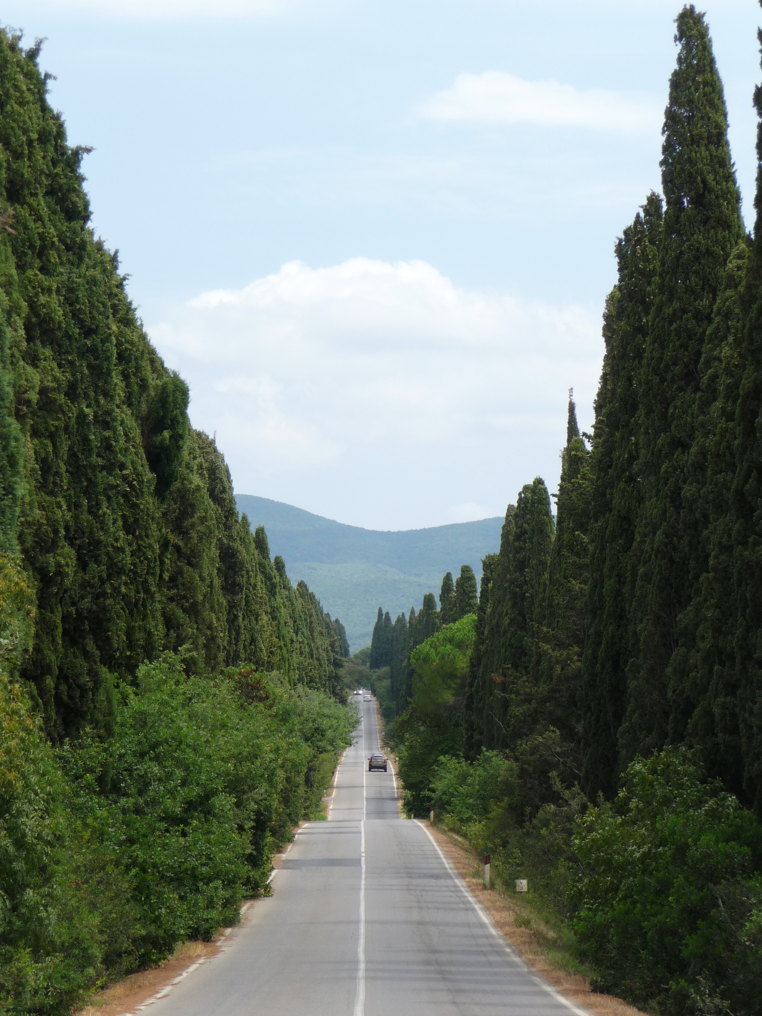 carducci 6
